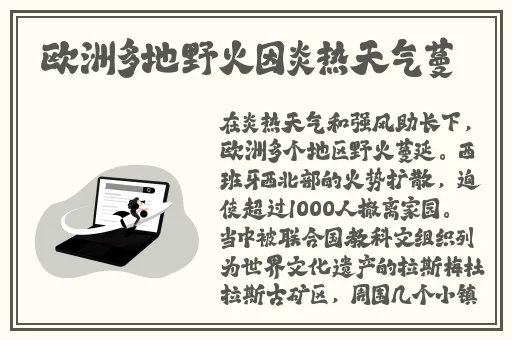 精品无码专区毛片
